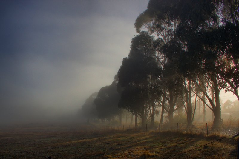 paddock hdr 2.jpg